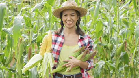 Agro-Emprendimiento de Nestlé